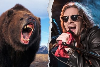 Rock N Roll VS Bears